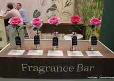 Als foto's konden ruiken, David Austin