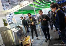 De Astra snijmachines groeien in de VS in populariteit, omdat het flink wat arbeid scheelt bij het schillen en snijden van onder andere ananas