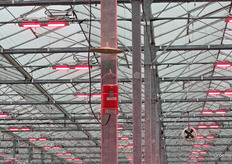 Zwavelverdampers van Nivola