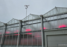 Ook zonder weerstation was het duidelijk: de lampen konden aan bij Royal Berry in Egchel.