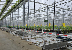 Ook in de onbelichte kas lampen, stuurlicht welteverstaan.