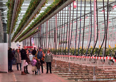 Warm en droog in de kas was het goed toeven zaterdag