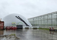 De CO2 wordt opgeslagen in ballonnen naast de kas.