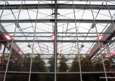 De eerste stop tijdens de rondleiding: een proef gericht op onderzoek naar lichtbenuttingsefficiëntie. De eerste resultaten wijzen dat die onder full LED lager is dan onder HPS.