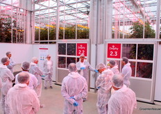 Twee kassen met een tomatenteelt naast elkaar, om onderzoek te doen naar problemen die ontstaan bij een hoge luchtvochtigheid.