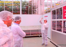 Als de groeibuis hoger in het gewas wordt geplaatst, zien de onderzoekers minder wankleur optreden.