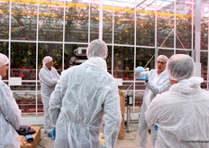 Vooral in de donkere winter van 2025 viel het telers op dat er miszetting optrad. Ook in landen waar hommels niet in de tomatenteelt worden ingezet, kan Polly+ een goede rol spelen.