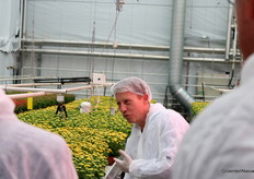 De Kalanchoë staan op speciale tafels, waarmee luchtbeweging wordt gegeneerd.
