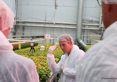 Er is sprake van een luchtstroom van onder de planten naar boven, legt Sander Hogewoning van Plant Lighting uit.