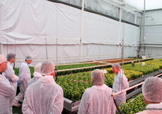 In het kader van het onderzoek wordt een onprettig warm en vochtig klimaat aangehouden in de onderzoekskas.