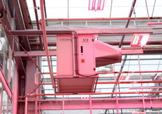 Onder meer met de inzet van ontvochtigers wordt het Lisianthus naar de zin gemaakt.