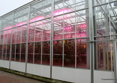 Eerste stop: het AGROS-onderzoek. In komkommer worden drie teeltregimes vergeleken: 1 teler gestuurde teelt, 1 op basis van algoritmes en data aangestuurde teelt en 1 teelt gestuurd door AI, door Frank Kempkes van de WUR grappend de 'black box-regeling' genoemd.