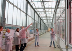 In deze proef draait het om de low-E-coating, in glas en in schermdoek. Frank Kempkes (WUR) wijst het aan in twee kascompartimenten vol gerbera's.