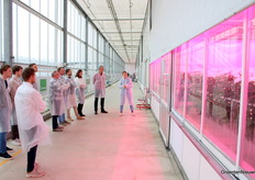 Het onderzoek is gericht op een systeemsprong van een grondgebonden chrysantenteelt naar een systeem op bakken.