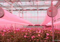 In deze proef wordt met actieve ontvochtiging met warmteterugwinning gewerkt.