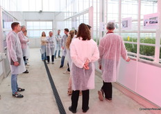 Laatste halte van de uitgebreide rondleiding: onderzoek in Freesia. Kan ook deze teelt uit de grond? Bij de WUR worden in Kas2030 verschillende systemen getest.