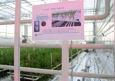 Onder meer naar het telen van Freesia op water wordt gekeken