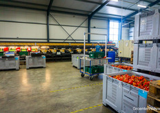 En natuurlijk was er nog iemand aan het werk om de paprika's te sorteren!