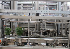 Een gele robotarm zet de planten in de transporttray. De volle tray verplaatst naar de rollenband waar ze op order weggezet worden