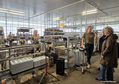 Het verpakken en sorteren van de potrozen bij Harg & Roses trok veel bekijks.