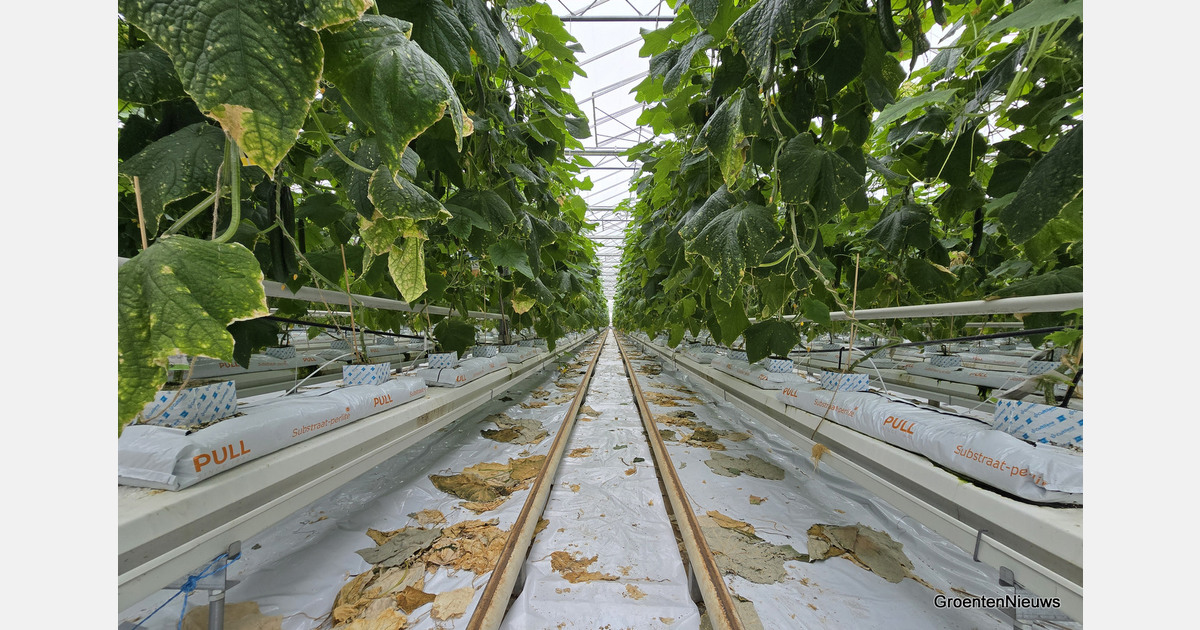 Handel in meststoffen en biostimulanten: nationale en Europese regels
