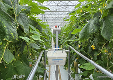 Biologische bestrijders moet je ook voeren