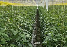 Uitzicht vanuit de skybox bij Bryte, locatie Greenforce