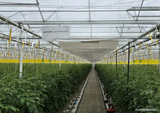 De plekjes in de skybox bij Bryte waren zaterdag populair, maar gratis, en toegankelijk voor iedere bezoeker zonder hoogtevrees.