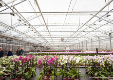 Een kijkje in de kas