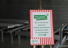 Popcorn en een film, in deze bioskas kan alles!