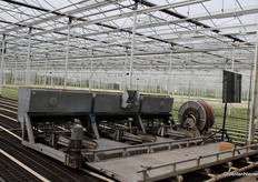 Dit moderne chrysantenbedrijf poot vol automatisch met deze plantmachine.