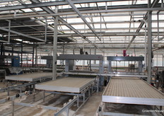 Vol automatisch worden de potten op de containers gezet.