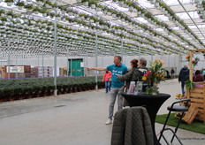 Kleurrijk en divers, de Alstroemeria-stand.