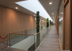 De galerij op de eerste verdieping, waaraan onder meer de kantoren van Cees, Xander en Jeroen te vinden zijn.