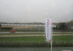 Het pand van Horconex ligt pal aan de provinciale weg tussen Den Haag en Rotterdam, dus is niet te missen voor wie in de buurt is.