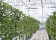 Ook binnen waren de eerste proeven al bezig.