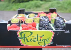 Maar met een doos vol rode bessen, frambozen, bramen, blauwe bessen en natuurlijk ook aardbeien kreeg elke bezoeker als het ware zomer en zon mee naar huis. Dit alles met dank Fruit Masters, ook een van de innovatiepartners van Delphy ISFC.