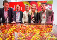 Meer dan genoeg tomaten bij Rijk Zwaan