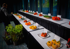 ... en tal van groenterassen.