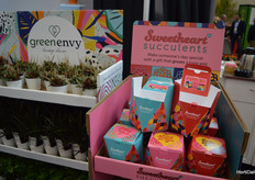 Een speciale verjaardagsverpakking voor succulenten bij Westrock