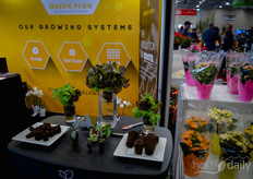 Pluggen present bij Quick Plug