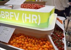 Veel veredelaars hebben hun innovaties gericht op ToBRFV