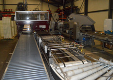 Aan de basis van de sla staat het zaaien.