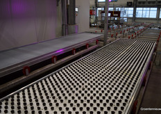 De containers zoals ze de vertical farming opkweekcel ingaan.