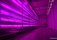 Opkweek op tien lagen.