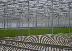 Verschillende rassen, verschillende groeisnelheden, maar alles is traceerbaar en komt automatisch op het juiste moment op de juiste plek terecht.