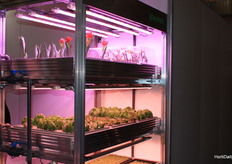 Greenhub Solutions is compatable met de kweektafels van Otte Metalbau