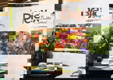 Jason Steels van Dejex