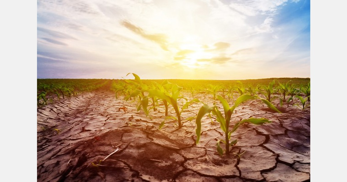 “Le condizioni meteorologiche estreme nell’Europa meridionale rivelano vulnerabilità al settore agroalimentare”
