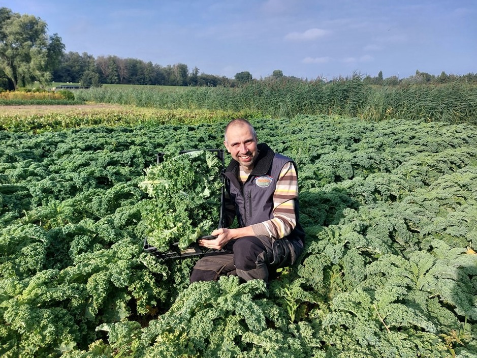 Nieuwe koers voor Polak’s Tuinderij: Groenten komen weer van eigen land